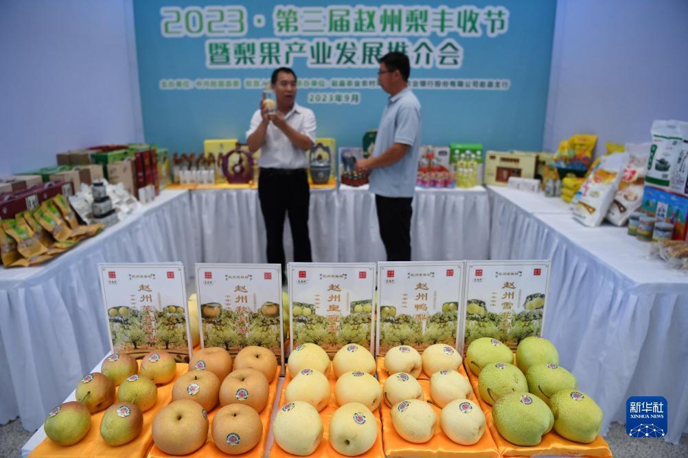 宝都棋牌网